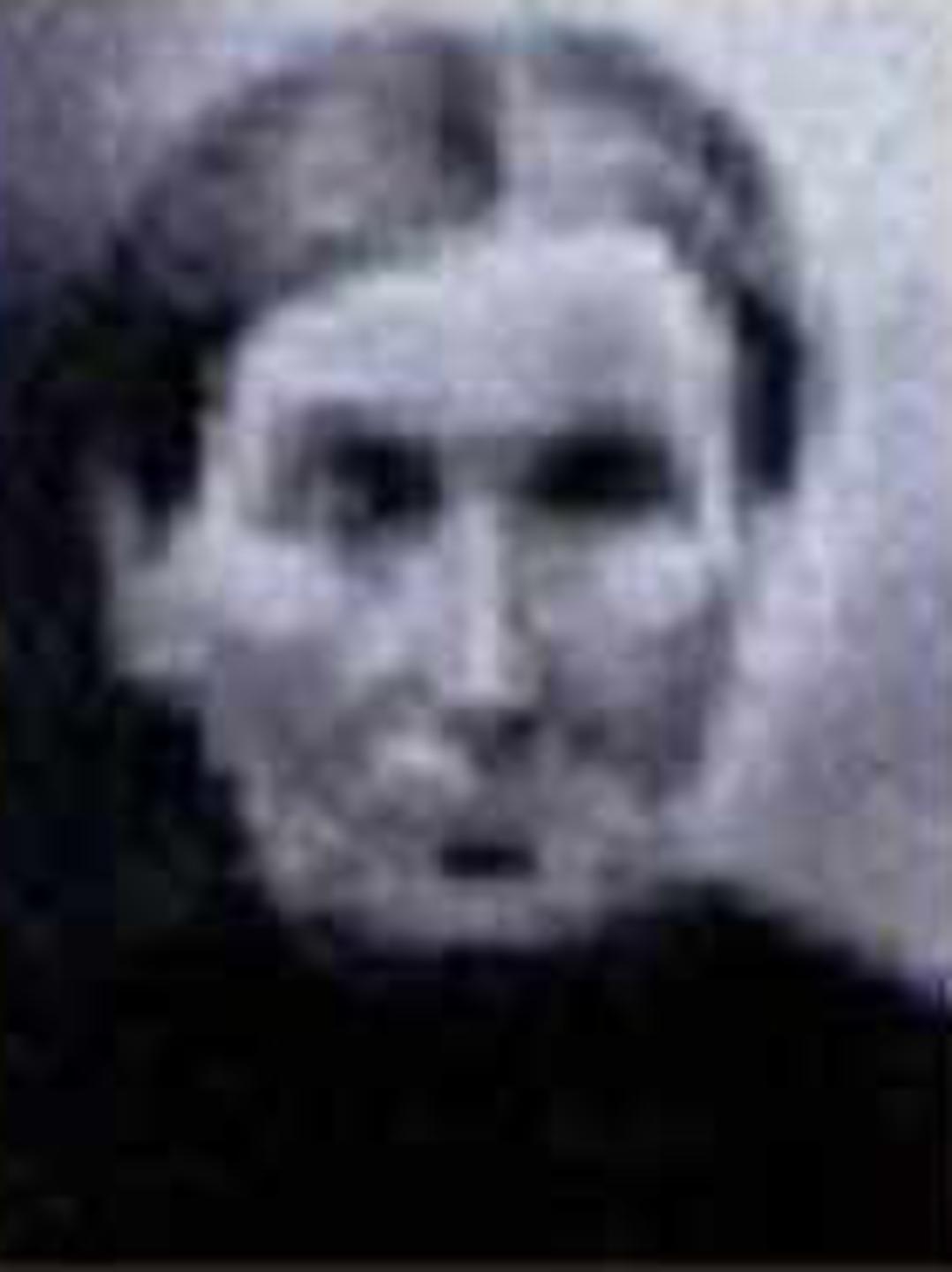Catherine Watkins (1838 - 1895) Profile